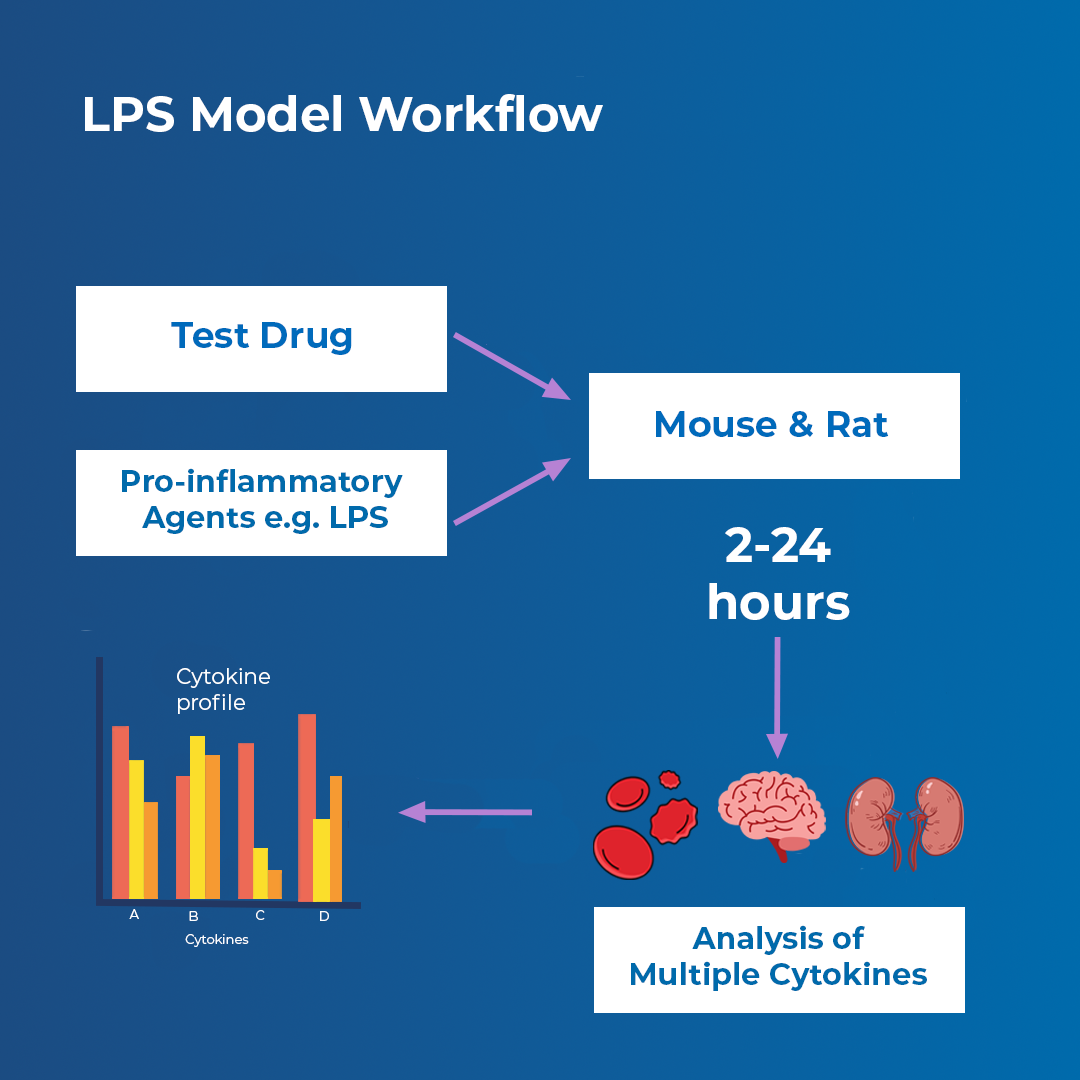 LPS Model